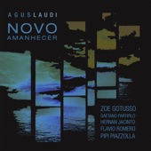 Novo Amanhecer (feat. Zoe Gotusso, Gaetano Partipilo, Hernan Jacinto, Pipi Piazzolla & Flavio Romero) artwork