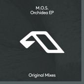 Orchidea (Extended Mix) artwork