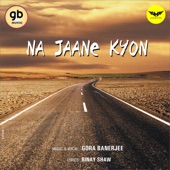 Na Jaane Kyon artwork