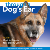 Joshua Leeds & Lisa Spector - Through a Dog's Ear: Music to Comfort Your Elderly Canine, Vol. 3 artwork