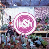 Lush - Ciao!