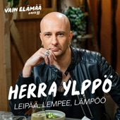 Leipää, lempee, lämpöö (Vain elämää kausi 11) artwork