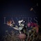 Layers (feat. Mark Hawkins) - Abstract Deviation lyrics