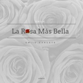 La Rosa Mas Bella artwork