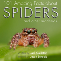 Jack Goldstein - 101 Amazing Facts about Spiders: ...and other arachnids artwork