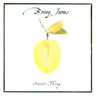 Boney James - Sweet Thing artwork