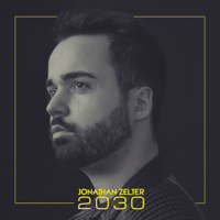 Jonathan Zelter - 2030 artwork