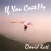 If You Can't Fly album lyrics, reviews, download