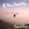 If You Can't Fly