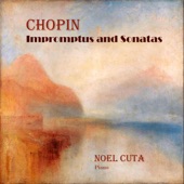 Chopin: Impromptus and Sonatas artwork