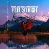 Feel so High - Single album lyrics, reviews, download