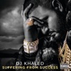 Suffering From Success (Deluxe Version), 2013
