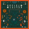 Tp 11: Reflejo - EP