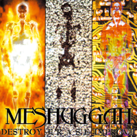 Meshuggah - Destroy Erase Improve artwork