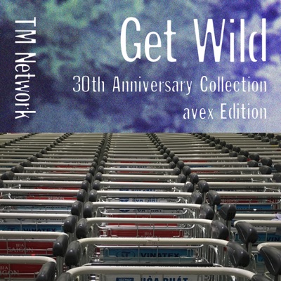 Get Wild 14 The Beginning Of The End Version 14 5 Tm Network Shazam