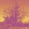 Slimm - Solar Keys lyrics