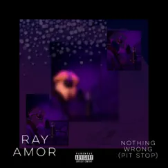 Nothing Wrong (Pit Stop) - Single by Ray Amor album reviews, ratings, credits
