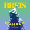 Wahala (feat. Nneka) - Single