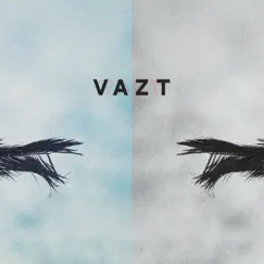 No Correlation - Single by Vazt album reviews, ratings, credits