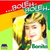 Boleh Boleh - Single