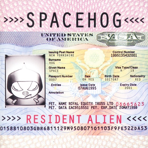 Art for In the Meantime by Spacehog