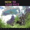 Speed Limits - How to Lose Face lyrics