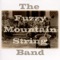 Keep the Ark a Movin' - The Fuzzy Mountain String Band lyrics