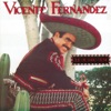 Que De Raro Tiene by Vicente Fernández iTunes Track 2