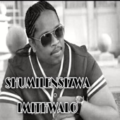 Imithwalo artwork