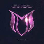 Fade Into Darkness artwork