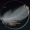 Back to the Sun - Nico Beren lyrics