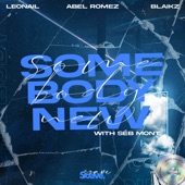 Somebody New (with Séb Mont) artwork