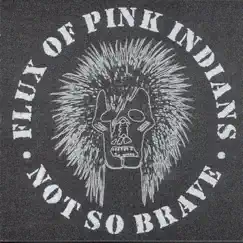 Not So Brave by Flux of Pink Indians album reviews, ratings, credits