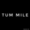 Tum Mile To Lamhe Tham Gaye artwork