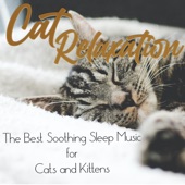 Cat Relaxation: The Best Soothing Sleep Music for Cats and Kittens artwork