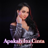 Apakah Itu Cinta artwork