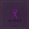 Wings artwork