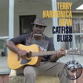 Terry "Harmonica" Bean - Catfish Blues
