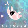 Distáncia Máxima Permitida by Shisuka iTunes Track 1