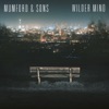 Wilder Mind (Deluxe), 2015