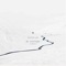 Telophase - 9T Antiope lyrics