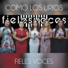 Como Los Lirios - Single