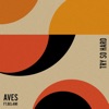 Aves - Try so Hard (feat. Bel-Ami)
