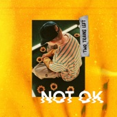 Not Ok artwork