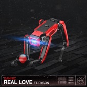 Real Love (feat. Dyson) artwork