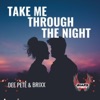 Take Me Through the Night - Single