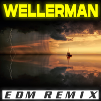 Remix Kingz - Wellerman (EDM Remix) artwork