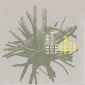 Esbjorn Svensson Trio - Reminiscence of a Soul