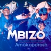 Amakoporosh (feat. Squash DJ, Renolda & Tshepo King) - Single