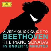 Beethoven: The Piano Sonatas in Under 15 Minutes artwork